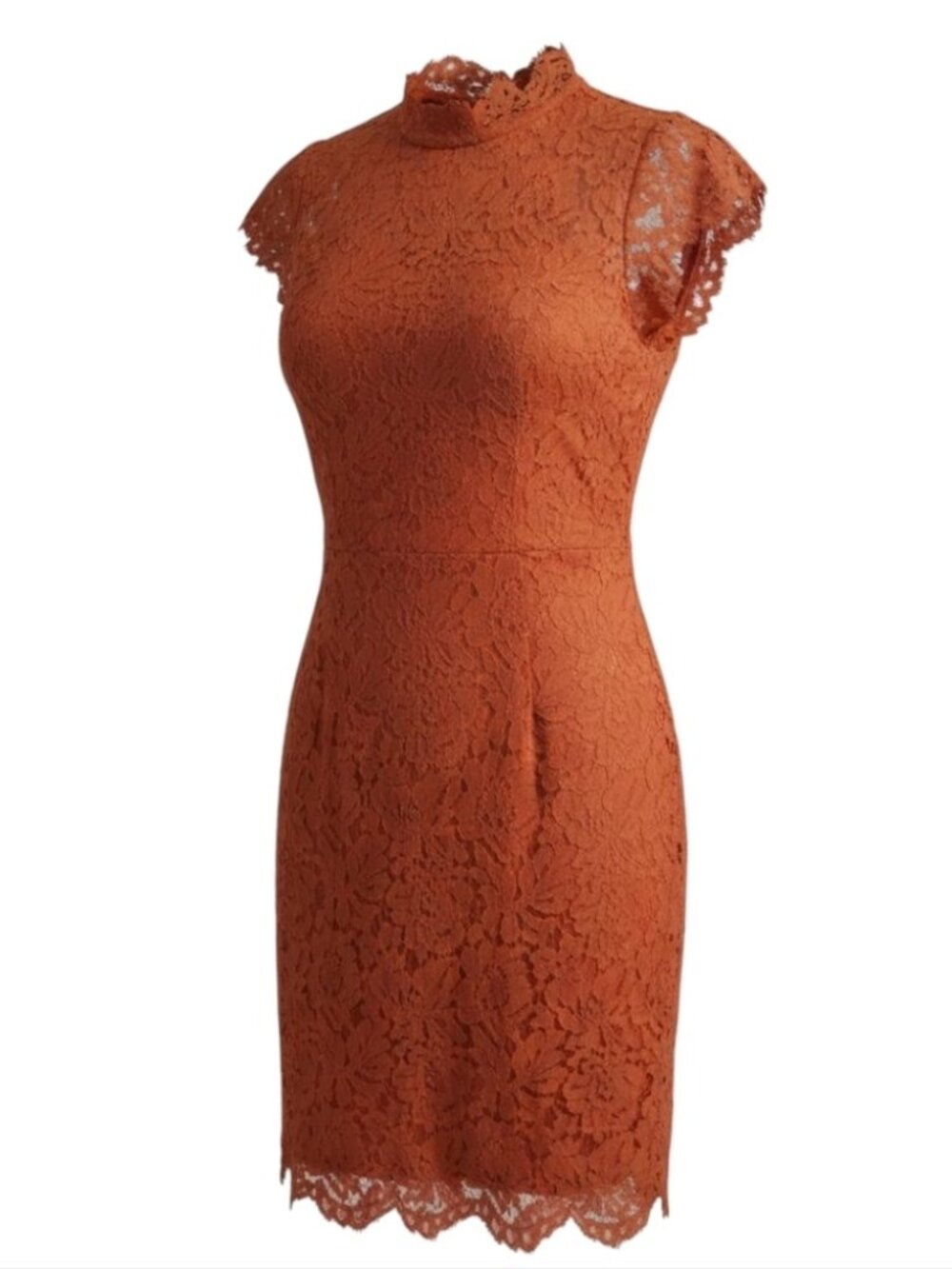 Elegant lace cocktail dress knee length NWT sz 10 to 12, L rustic brown